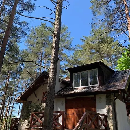 Wypoczynkowy W Lesie Nad Jeziorem