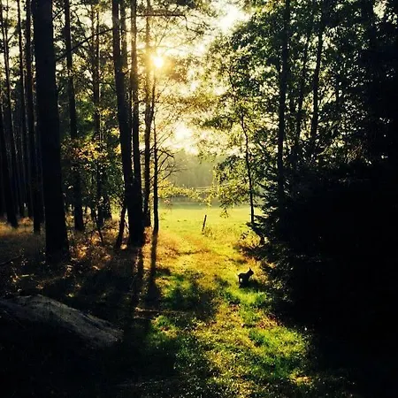 Wypoczynkowy W Lesie Nad Jeziorem * אוציפל