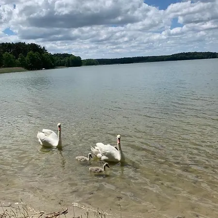 Wypoczynkowy W Lesie Nad Jeziorem *