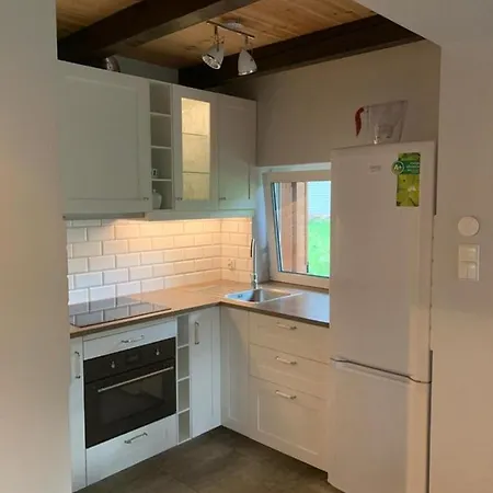 Wypoczynkowy W Lesie Nad Jeziorem