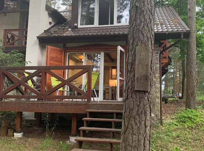 Wypoczynkowy W Lesie Nad Jeziorem