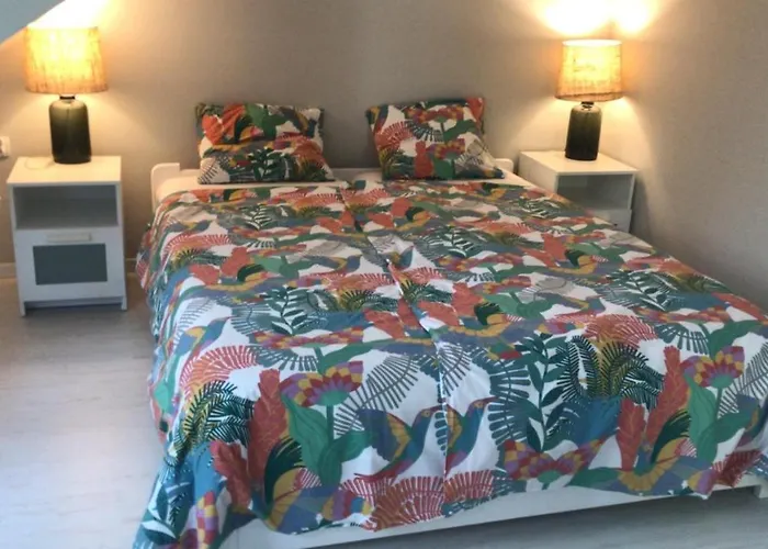 Wypoczynkowy W Lesie Nad Jeziorem * Ocypel