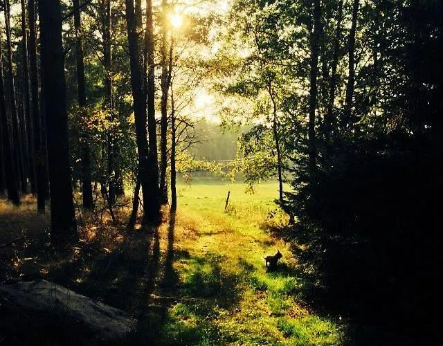 Wypoczynkowy W Lesie Nad Jeziorem * Ocypel