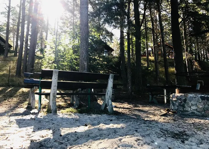 Wypoczynkowy W Lesie Nad Jeziorem Ocypel